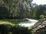 Avery Island Jungle Gardens - where the Tabasco comes from